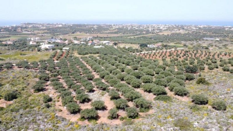 Chorafakia Chania Kreta, Chorafakia Chania: Grundstück mit Meer- und Bergblick zum Verkauf Grundstück kaufen